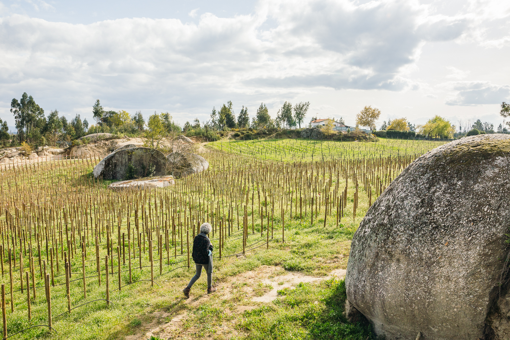 António Lopes Ribeiro