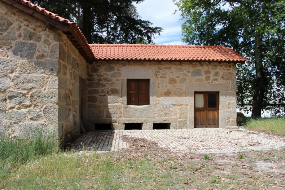 Maria Olazabal Albuquerque